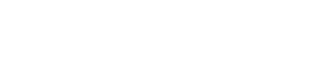 Priscilla Albuquerque - Marketing Digital