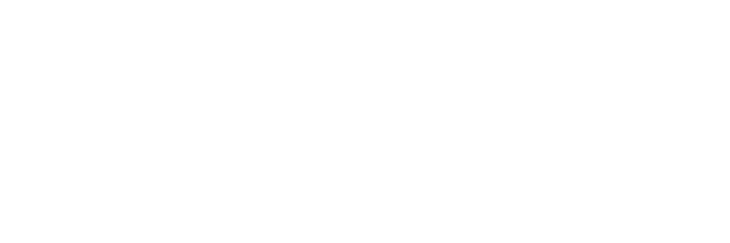 Fernando Pinguim