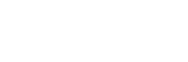 Fernando Pinguim